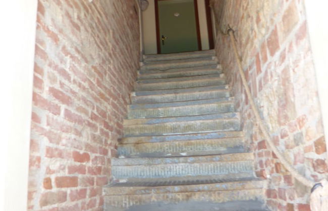 Fattoria di Colleoli - Foto 2