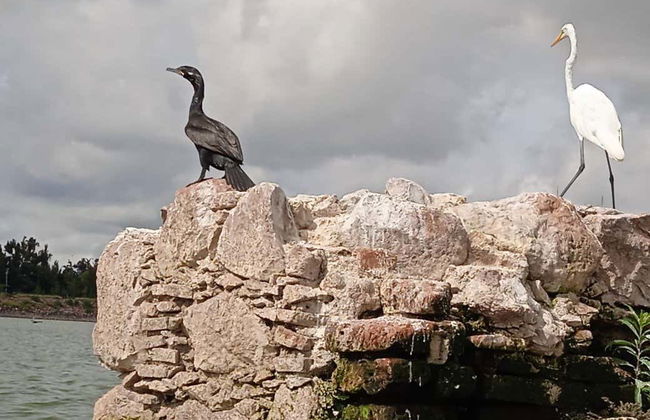 León Metropolitan Park Adventure Tour - Foto 6
