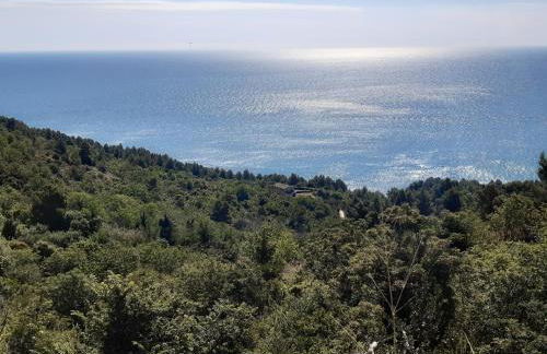 mansio maritima - Foto 49