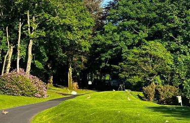 The Forest Cabin Holiday Home 15 - Foto 18