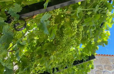 Quinta da Cortelhinha Turismo Rural - Foto 51