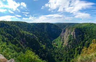 FeWo Am alten Holzplatz - Foto 35