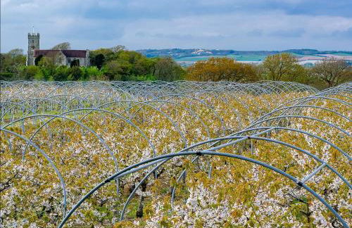 Cherry Lodge - Foto 37