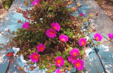 Atelier House - Foto 19