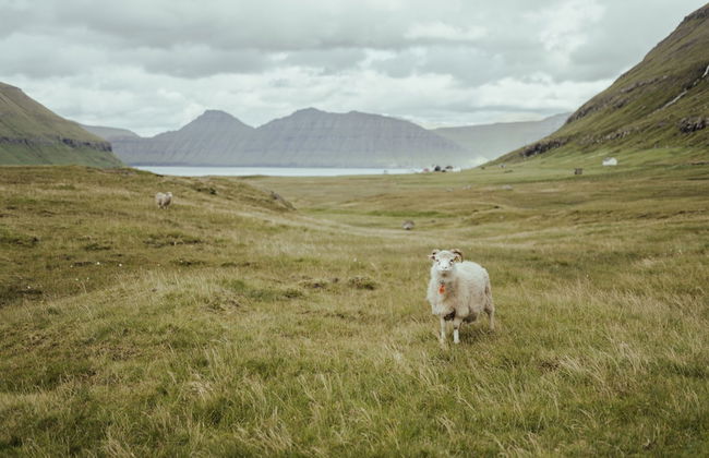 Authentic Cabin - Unique Location - In Nature - 2Br - Foto 13