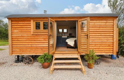 Cariad Mawr - Photo 1