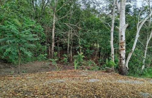 Chalé do Ypê 1 - Foto 16