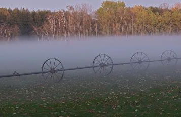 Waldpension Gussow - Foto 38