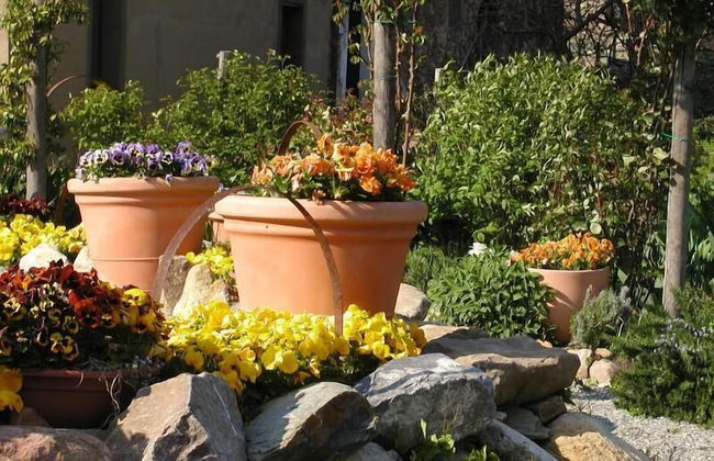 Adorable Tuscan Cottage With Beautiful Garden Just Outside Lucca, Sleeps 2 - Foto 12