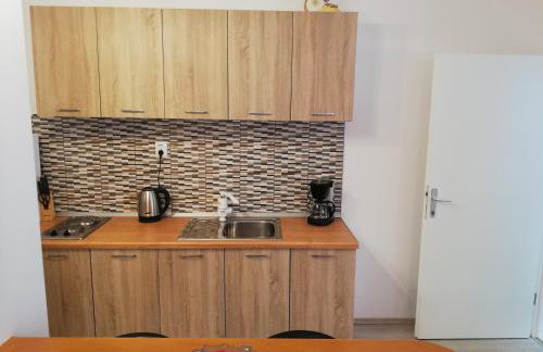 APARTMANI NOVA - Photo 66