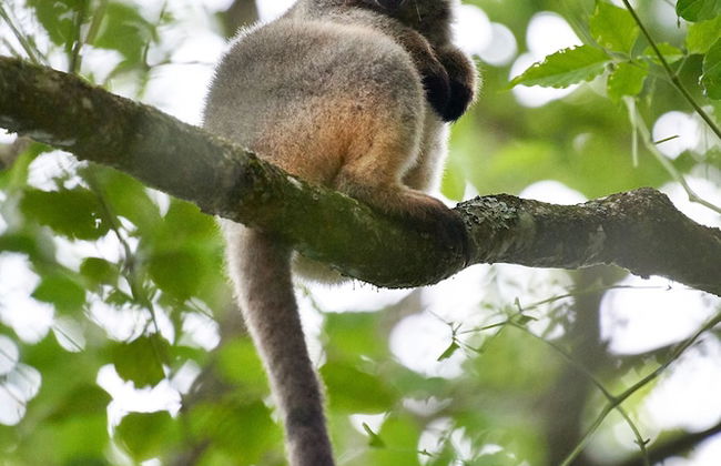 Sharlynn by the River - Foto 27