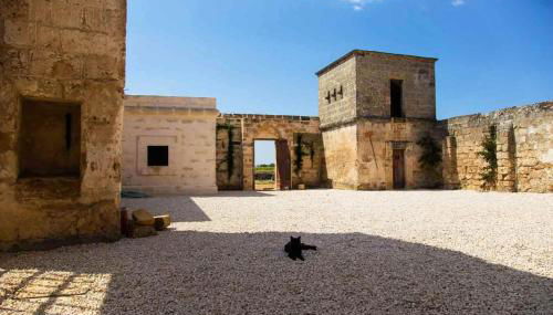 Masseria Celano - Foto 5