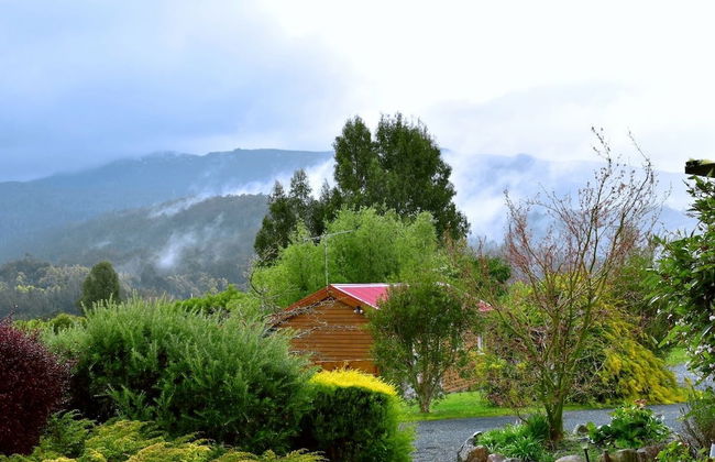 Maydena Mountain Cabins - Foto 45