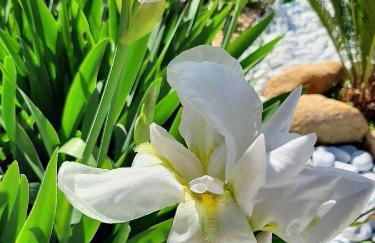 Artistika Golden Apartment - Foto 78