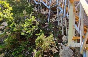 Alojamientos Turísticos TURBON - Campo - Foto 52