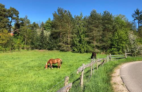Ferienhaus am Mümmelbrook - Foto 34