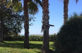 Villa with Private Pool and Gorgeous View - Photo 28