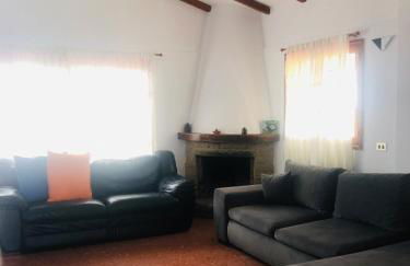 Los Viejitos en Firgas - Foto 15