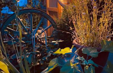 Vintage Home 55 Direkt am Fuße zur Wartburg - Foto 45