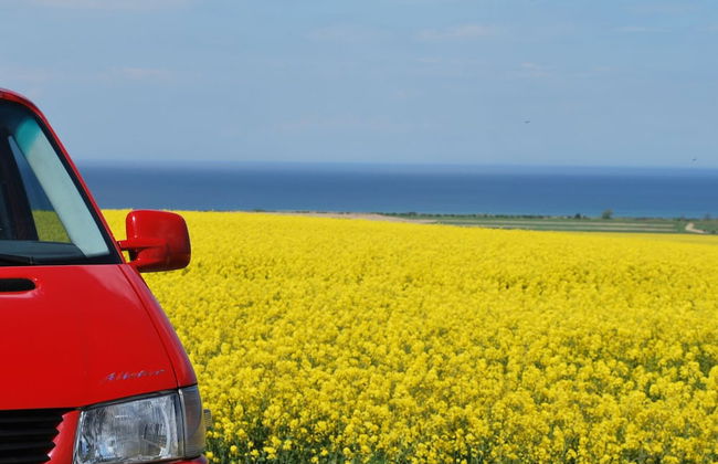 Bungalow Near Baltic Sea - Photo 38