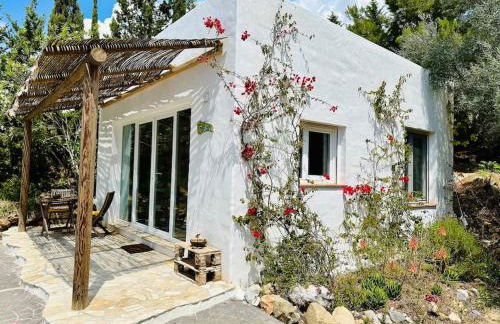 Satori, paradise in rural malaga - Photo 25