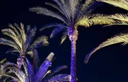 Villa Living E-motion - Photo 53