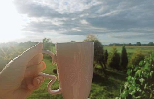 Żuławska Osada - Foto 44