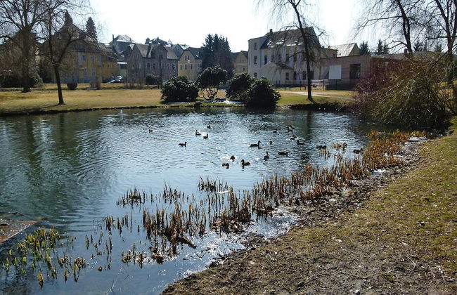 Wohnung in Ellefeld Nahe Skipisten - Foto 9