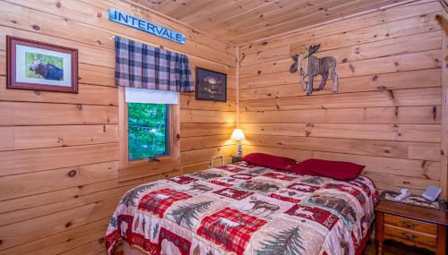 Couples Getaway Log Cabin in the White Mountains - Foto 5