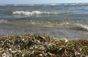 Ferienwohnung mit Terrasse - Insel Usedom - Foto 58