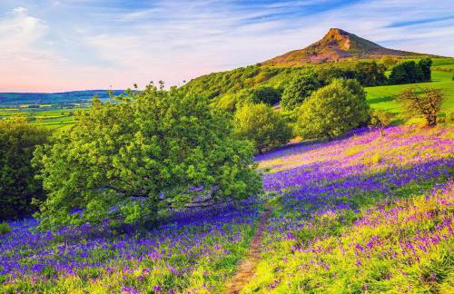 2 Bed in Middlesbrough oc-75544 - Foto 24