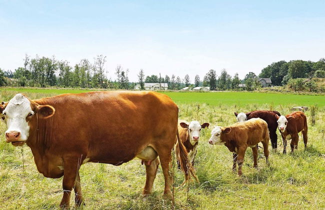 5 Person Holiday Home in Mellbystrand-by Traum - Foto 4