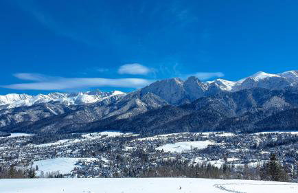 Willa Rąbanisko z sauną fińską - Foto 75