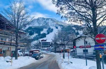 Summit Alps Apartments - Inclusive Bergbahntickets - Foto 28