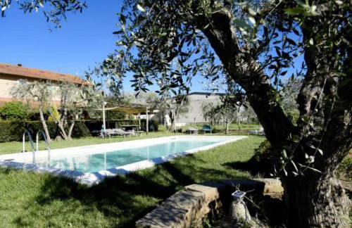 Podere Montecorno - Foto 7