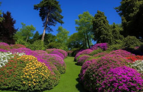 Villa Margherita Grande - Foto 54