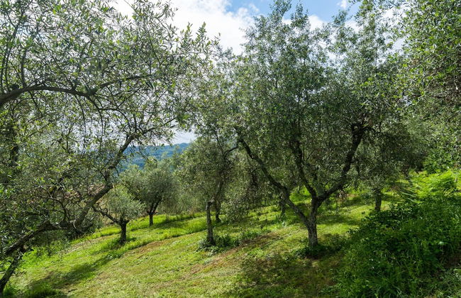 Belvilla by OYO Casa Luna - Foto 21