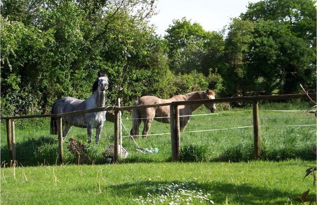 The Old Post Office Cottage - Photo 7