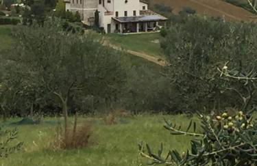 Agriturismo Cignale della Società Agricola Cignale srl - Foto 66