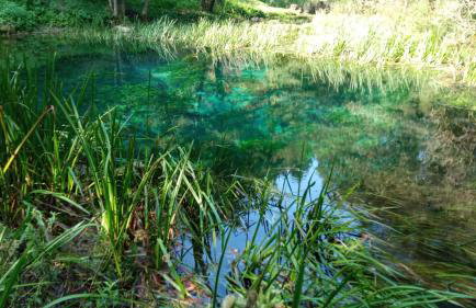 Three Little Birds Artists Residence - Foto 61