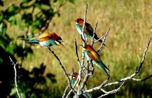 Casa Rural Finca Flores Amarillas - Foto 31