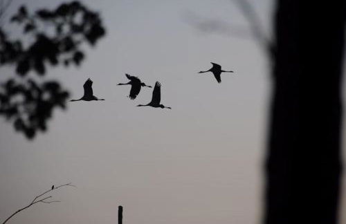 Romantisches Studio am Waldesrand mit Gartensauna - Foto 56