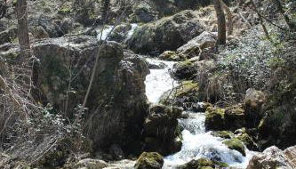 Cortijo de las cañadas - Foto 4