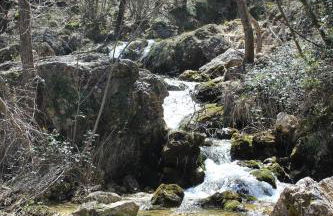 Cortijo de las cañadas - Foto 4