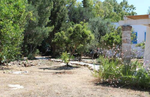 Trullo Le Macchie - Foto 6