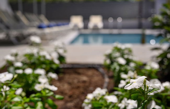 Athina Suites Platanias - Photo 80