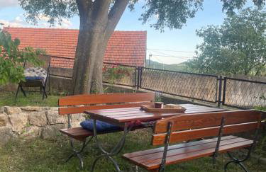 NEW - House KoStella - Drniš - Foto 31