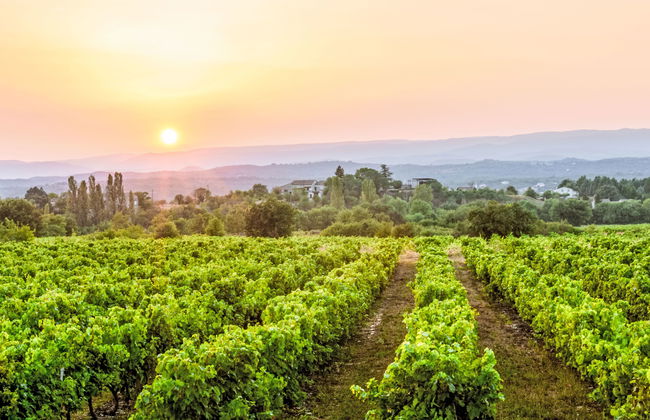 Domaine de Sévenier Chêne Blanc - Foto 23