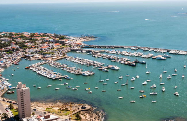 Excursion à Punta del Este - Photo 3