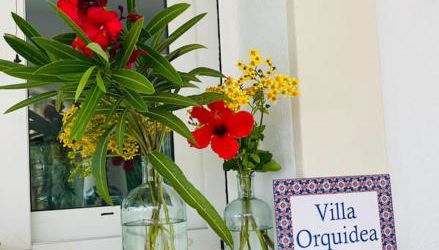 Villa Orquidea - Photo 3